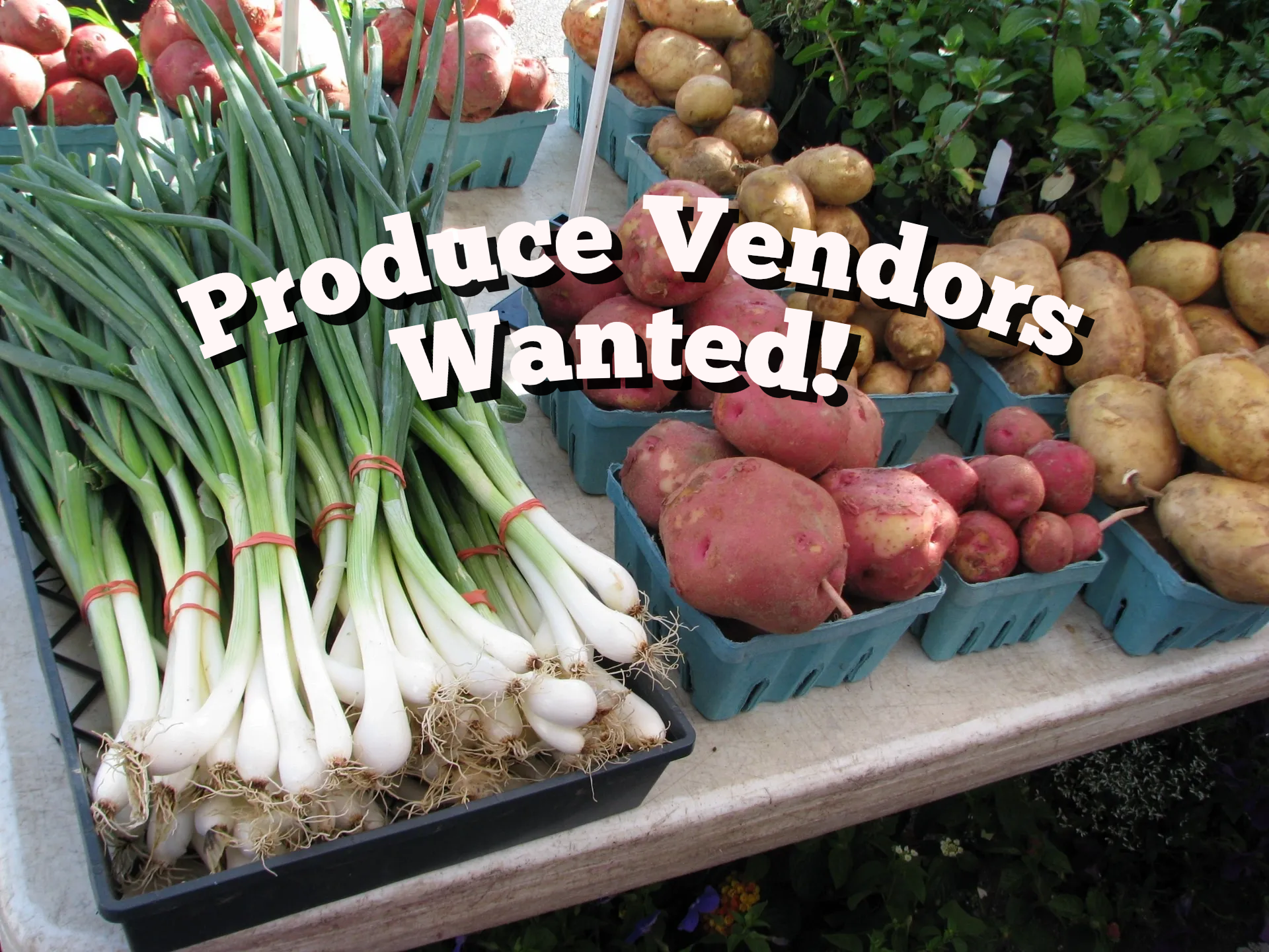 Vendors Wanted